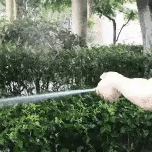 Reinigung mit Waterblitz